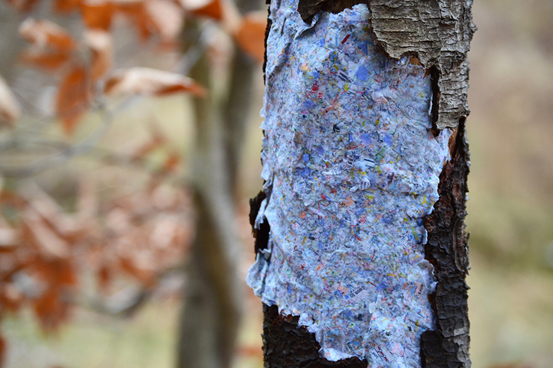 Art by Jackie Partidge showing a tree patched with a paper map.
