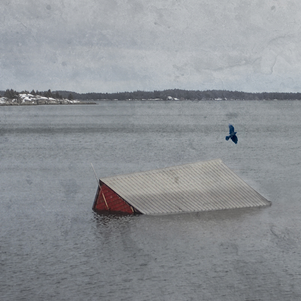 Photograph by Sara Harley showing a building submerged in water and one bird flying overhead.
