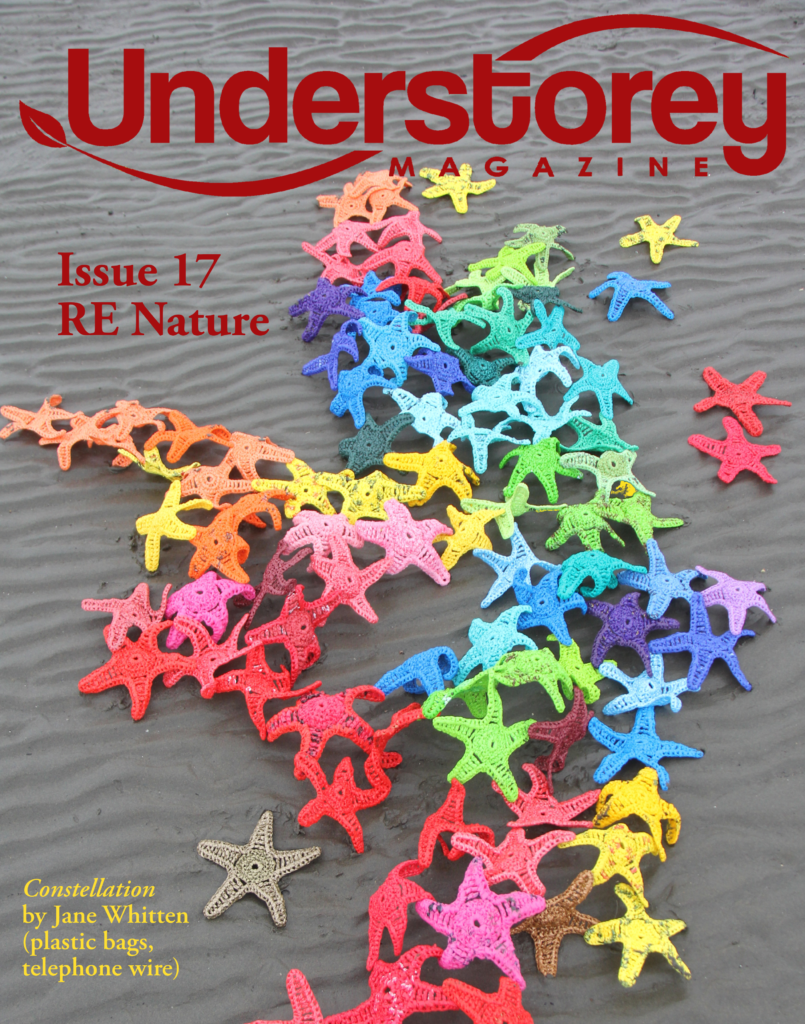 The cover for Understorey Magazine Issue 17 showing sea stars created by Jane Whitten with plastic bags and telephone wire.