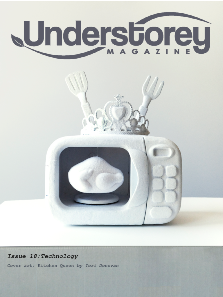 cover for Issue 18 showing art by Teri Donovan (fabric microwave oven with crown)