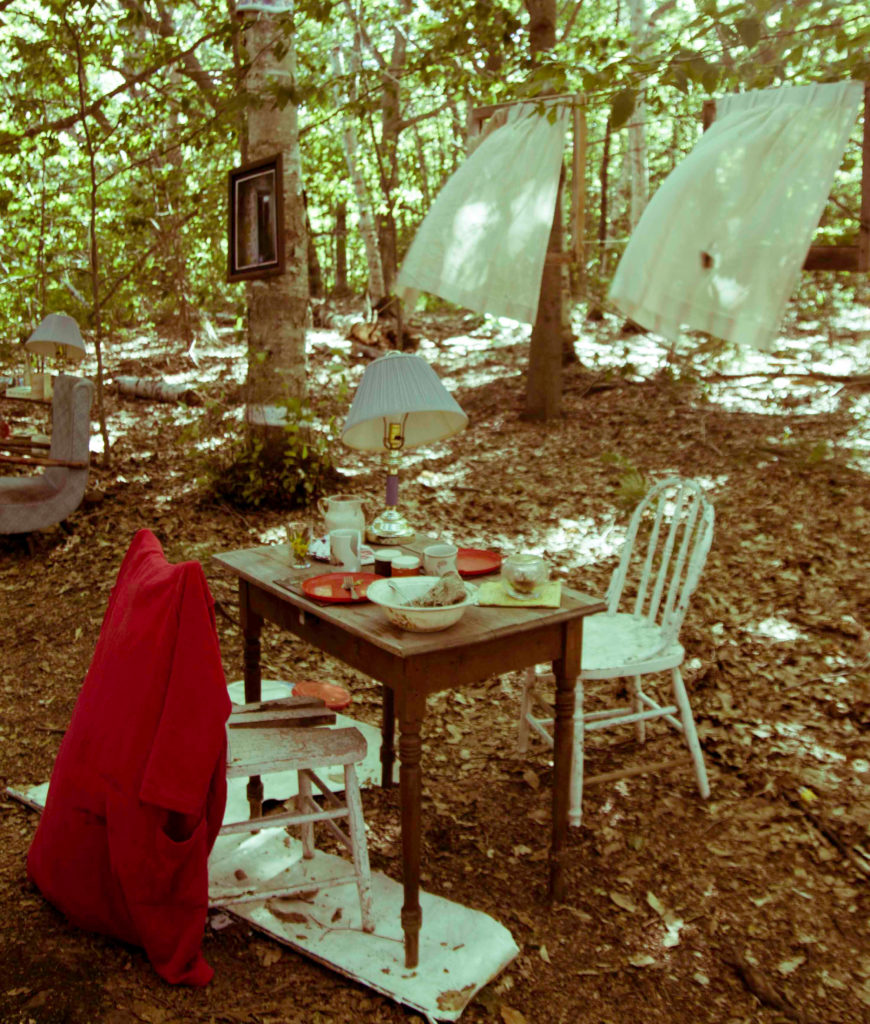 photo showing artifacts from an abandoned house displayed in a forest