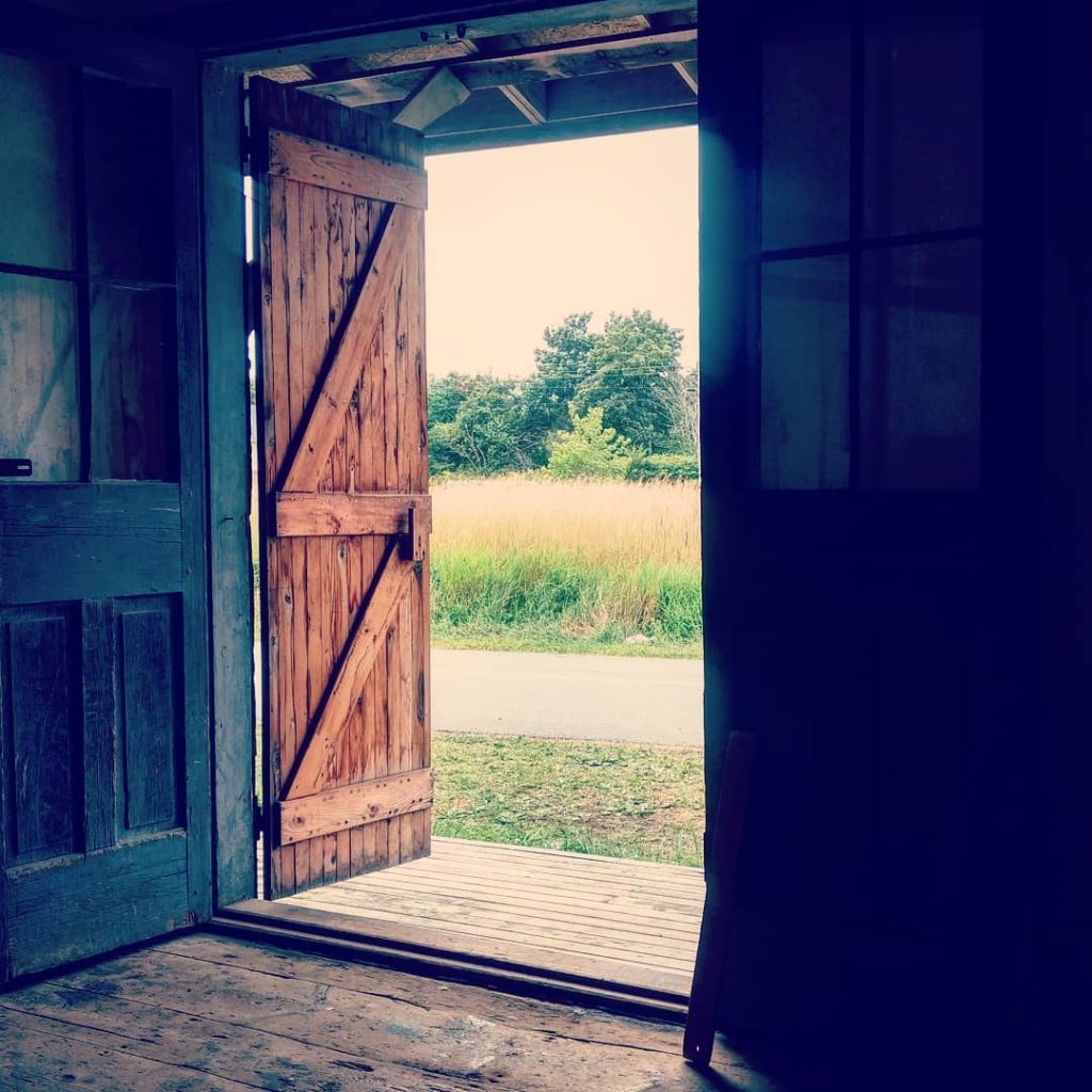 photograph showing a rustic, barn door looking out to a field