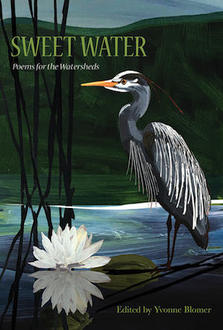 Cover image for Sweet Water showing a herson and pond