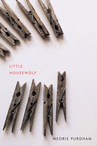 book cover for Little Housewolf showing a collection of wooden clothespins