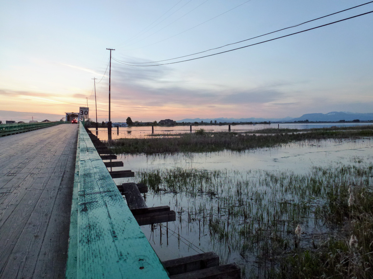 photo of a long wooden bridge over shallow water at twilight