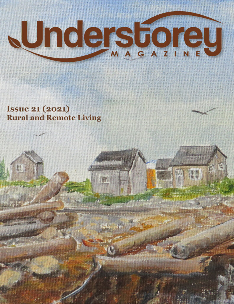 cover of Issue 21 with painting of small wooden structures on a shore